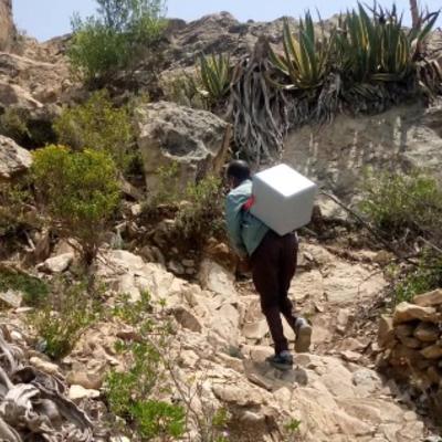 A healthcare worker carrying a cold box with vaccines hikes through a mountainous area, emphasizing the challenges of delivering vaccines in remote regions.