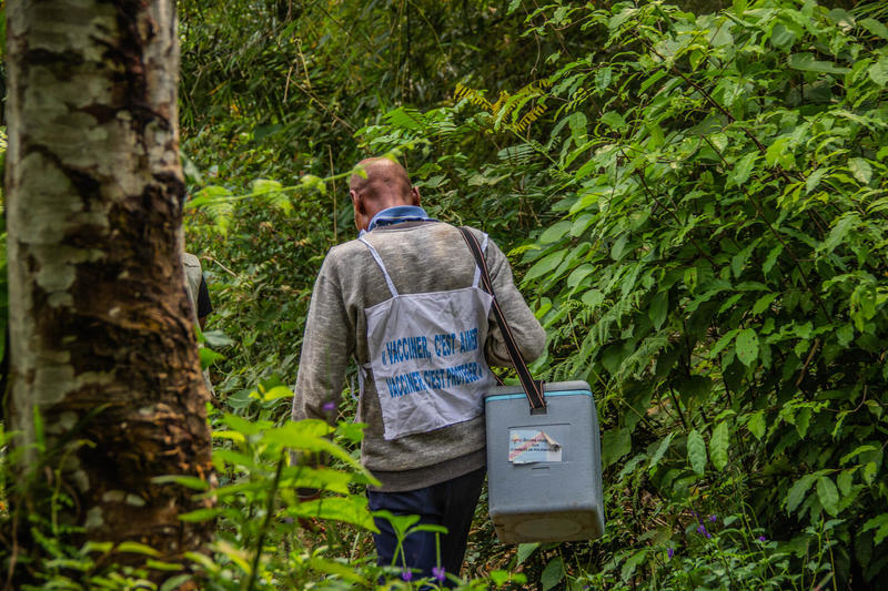 A health worker carries a vaccine cold box through dense greenery, symbolizing dedication to delivering immunization to remote communities.