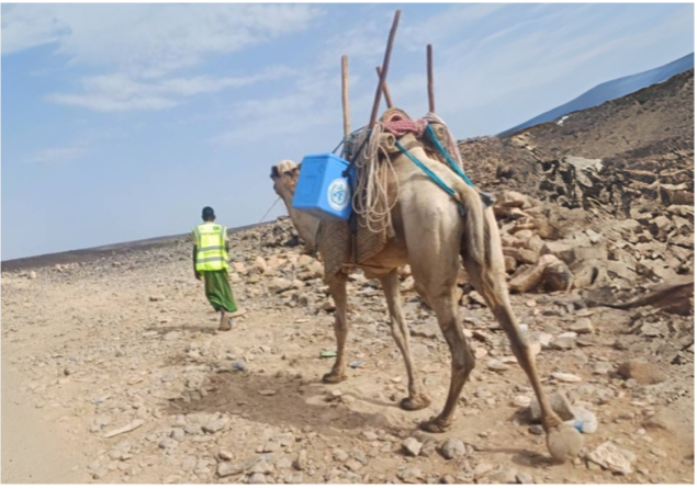 Climbing Mountains to Reach Every Child: Delivering Protection in Adgueno